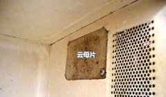 可别小瞧它，微波炉中的云母片你知道么？